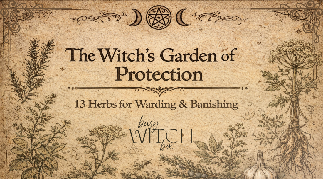 13 Protective & Banishing Herbs Every Witch Should Know