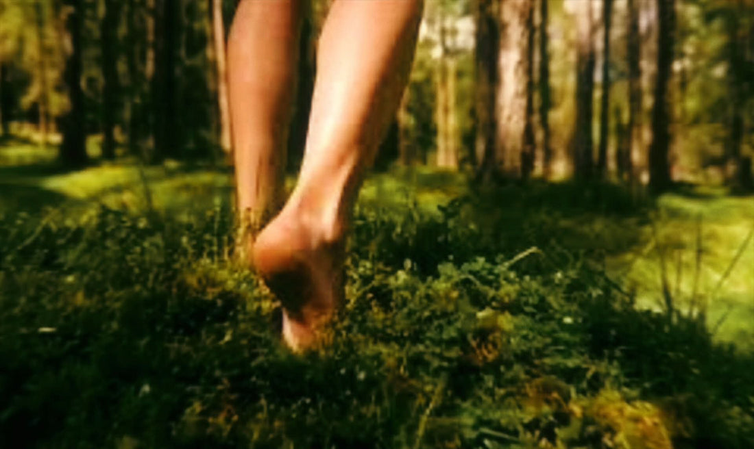 The Season in Motion