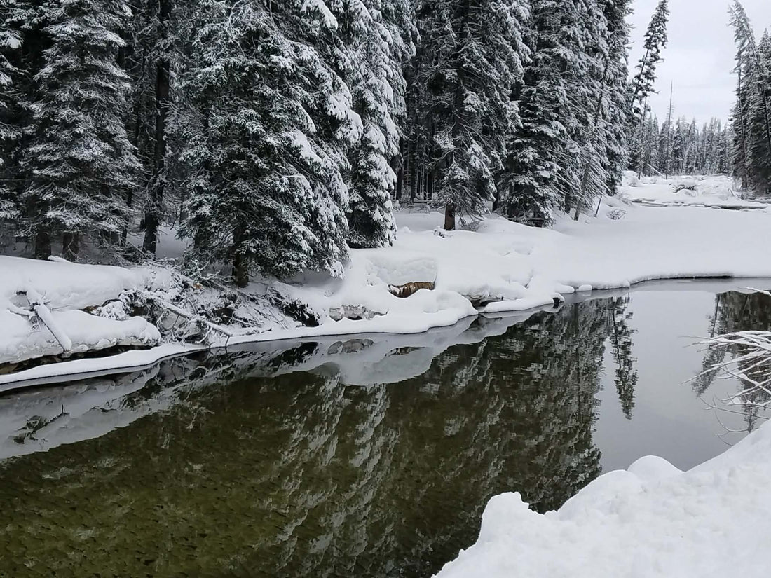 Twelve Nights to Yule - A Winter Solstice Guide